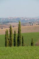 italiedunord2014 (52).jpg
